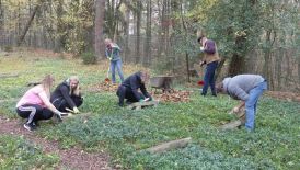 BFS 2: Projekt auf dem Ausländerfriedhof Paderborn